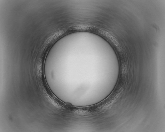 X0000112500633200908311453