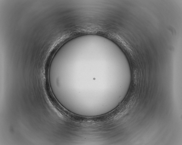 X0000112500634200908311453