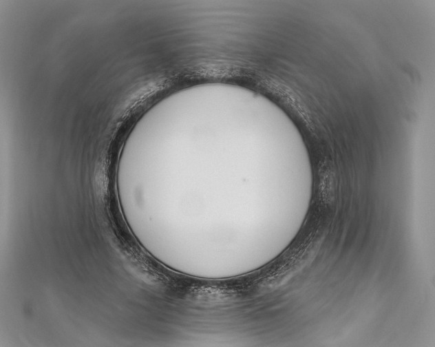 X0000112500635200908311453