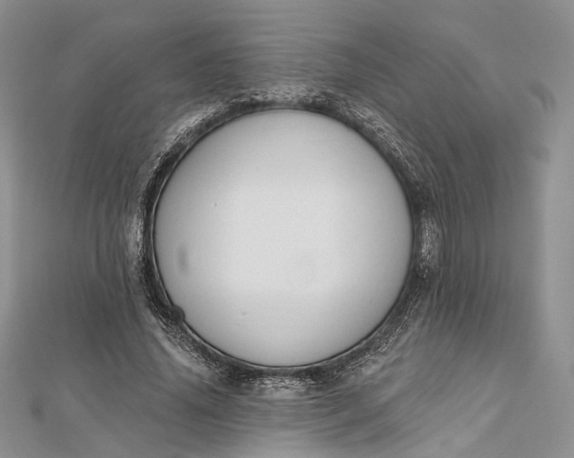 X0000112500636200908311453