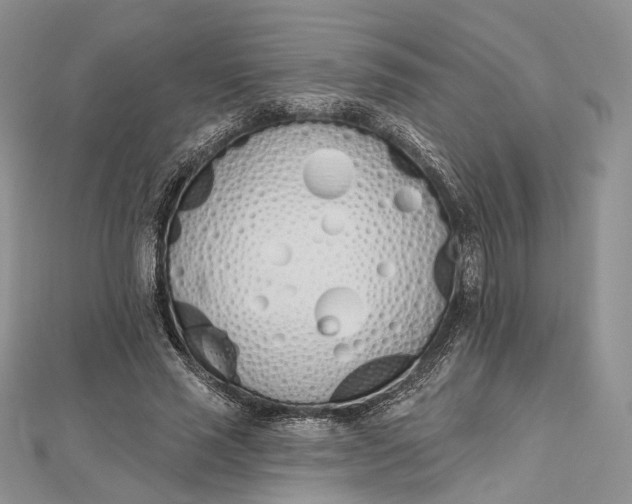 X0000112500637200908311453