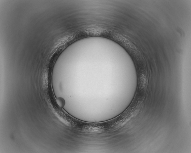 X0000112500638200908311453