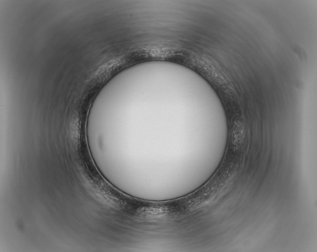 X0000112500639200908311453