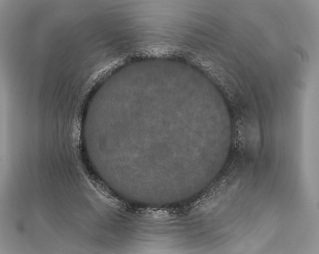 X0000112500640200908311453