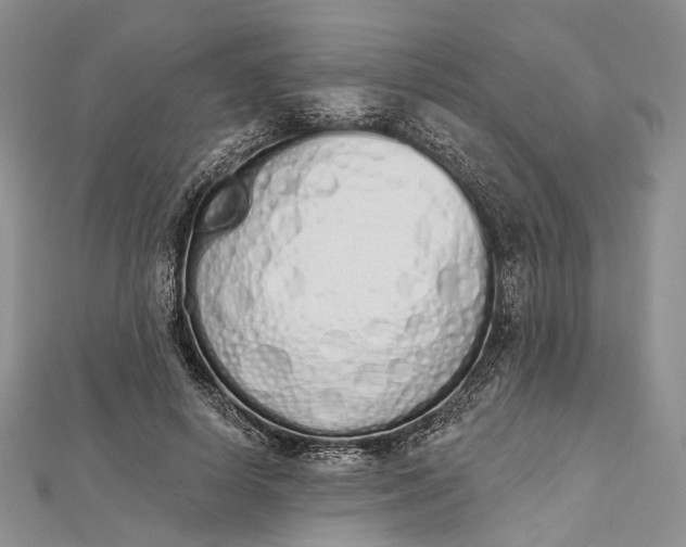 X0000112500642200908311453