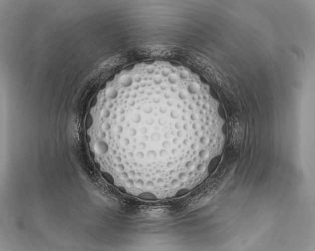 X0000112500643200908311453