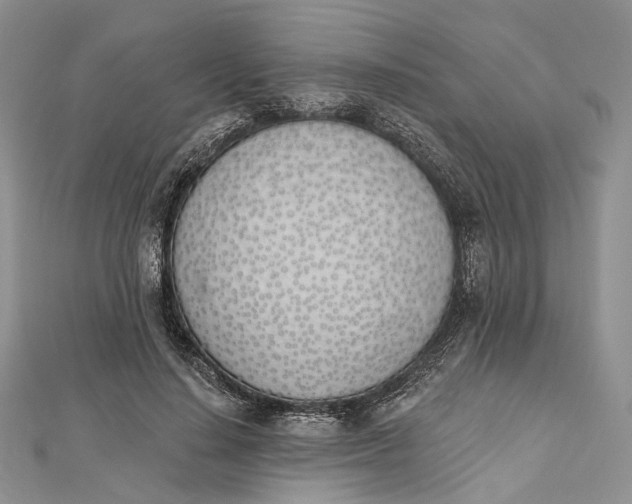 X0000112500644200908311453