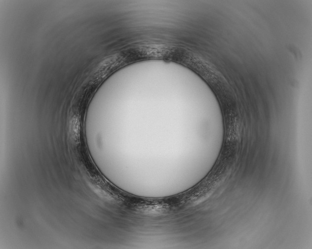 X0000112500646200908311453