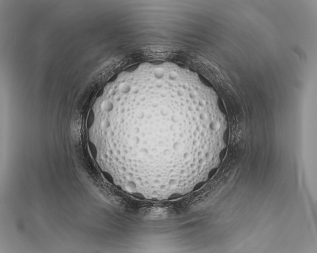 X0000112500647200908311453