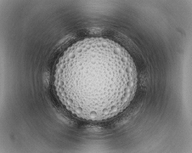 X0000112500648200908311453