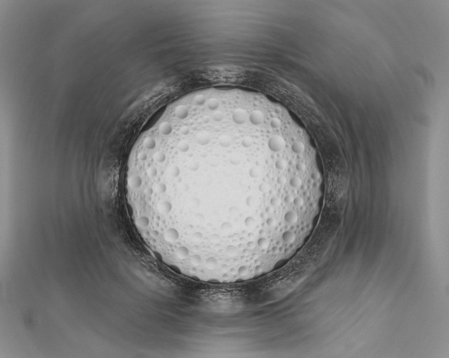 X0000112500652200908311453