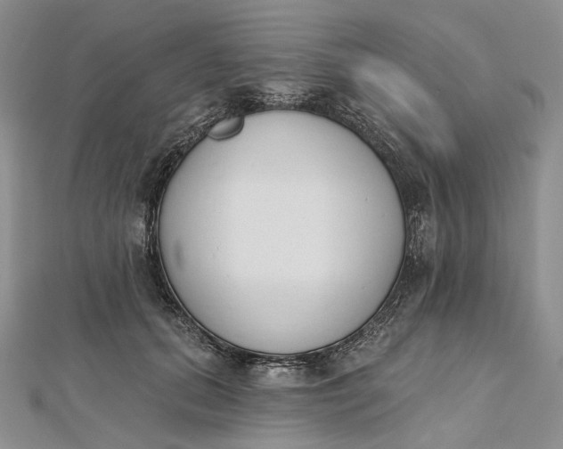 X0000112500655200908311453