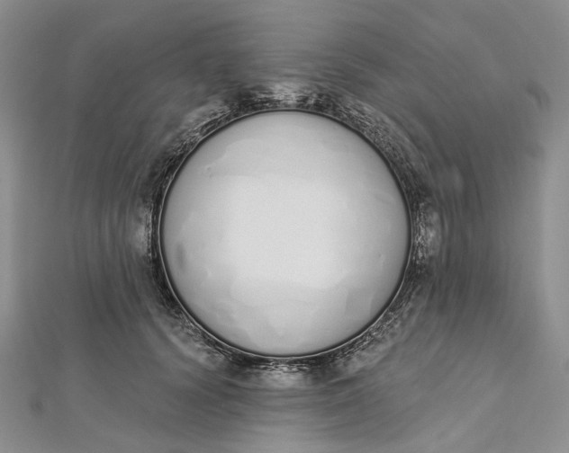 X0000112500656200908311453