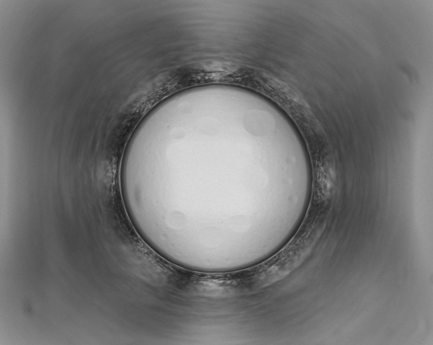 X0000112500657200908311453