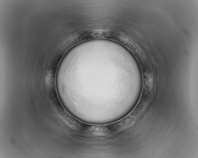 X0000112500659200908311453