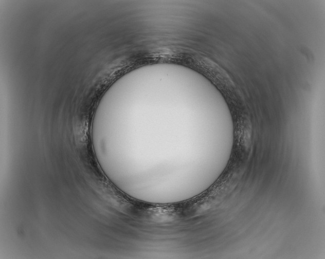 X0000112500660200908311453