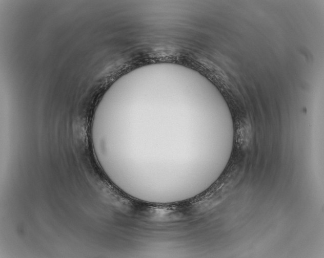 X0000112500662200908311453