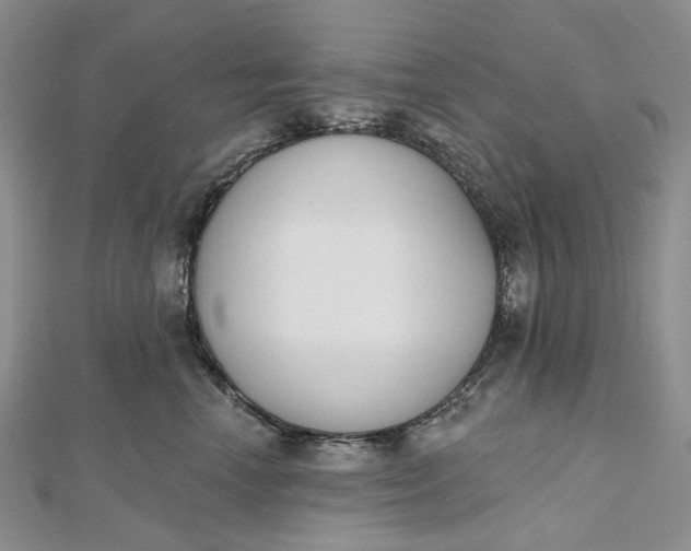 X0000112500666200908311453