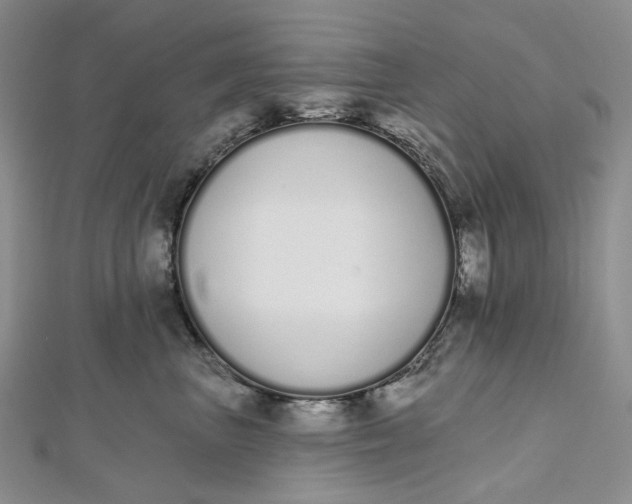 X0000112500667200908311453