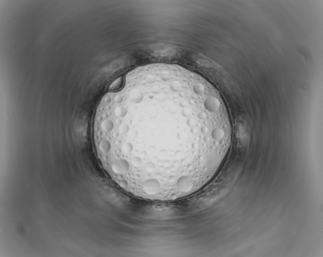 X0000112500668200908311453