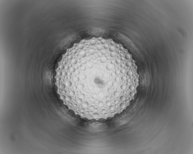 X0000112500669200908311453