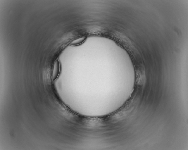 X0000112500670200908311453