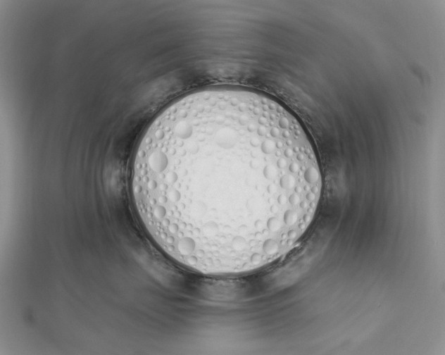 X0000112500671200908311453