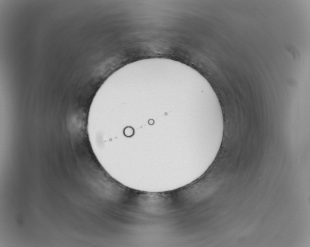 X0000112500672200908311453