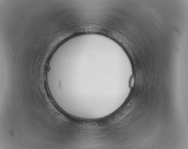 X0000112500673200908311453