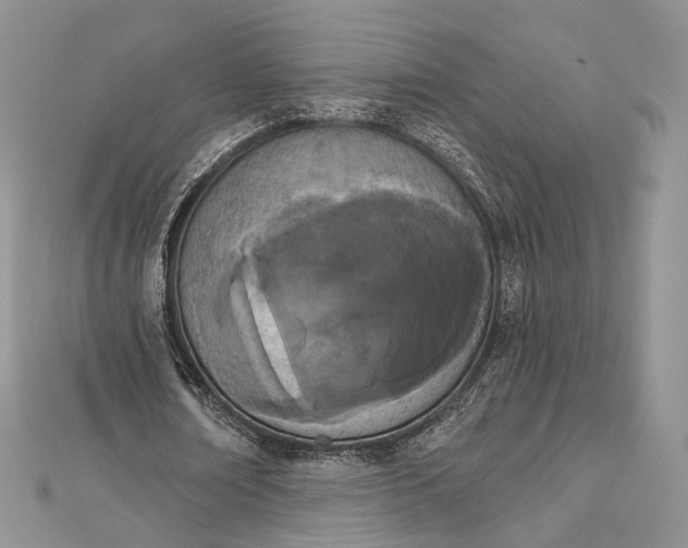 X0000112500674200908311453