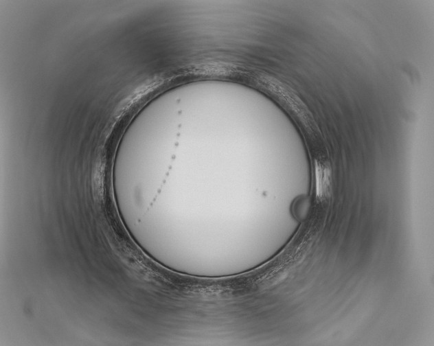 X0000112500675200908311453