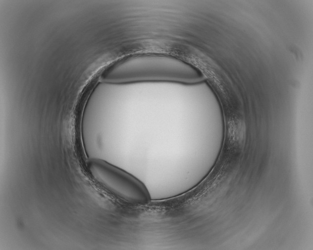 X0000112500676200908311453