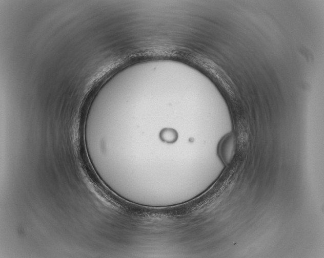 X0000112500677200908311453