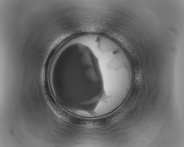 X0000112500678200908311453