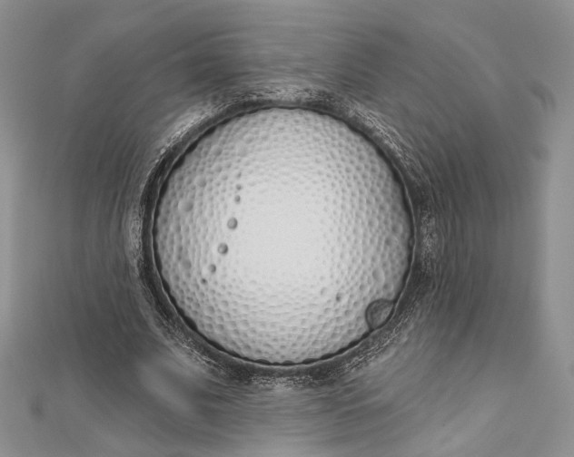 X0000112500679200908311453