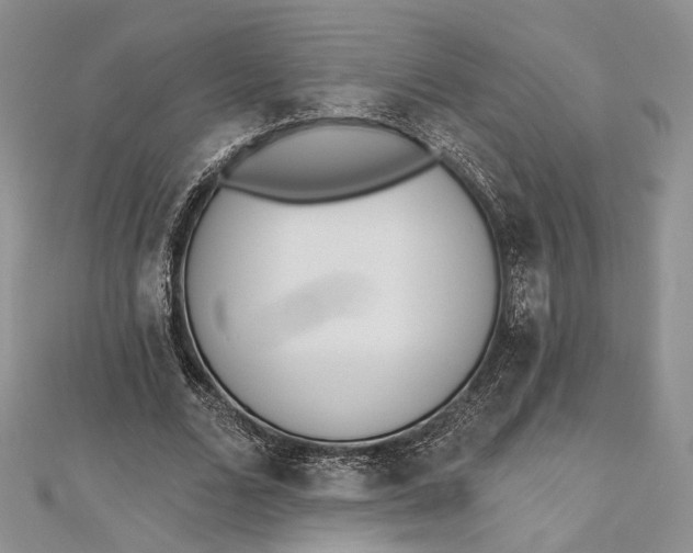 X0000112500680200908311452