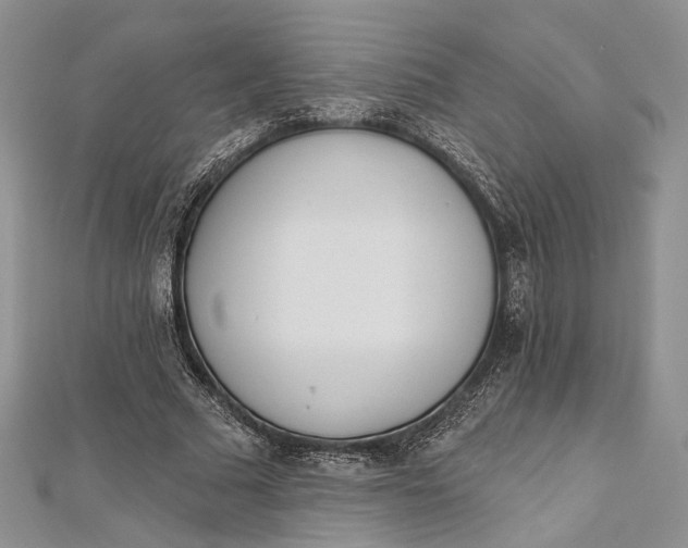 X0000112500681200908311452