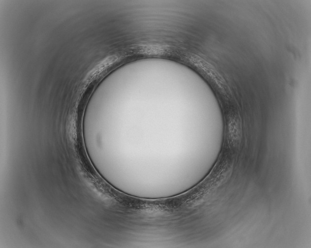 X0000112500682200908311452