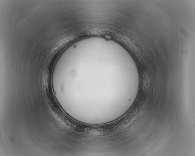 X0000112500683200908311452