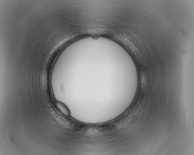 X0000112500684200908311452