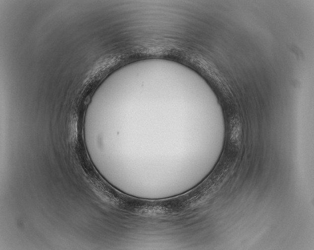 X0000112500685200908311452