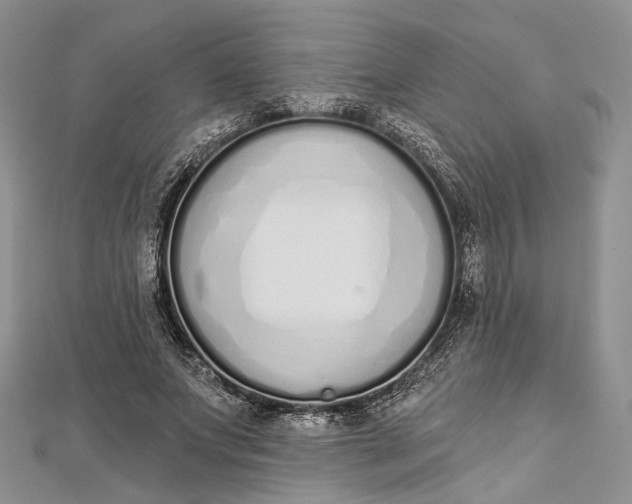 X0000112500687200908311452