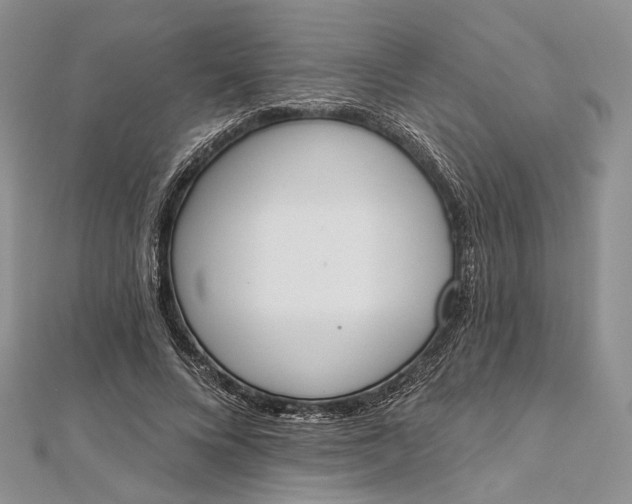 X0000112500688200908311452