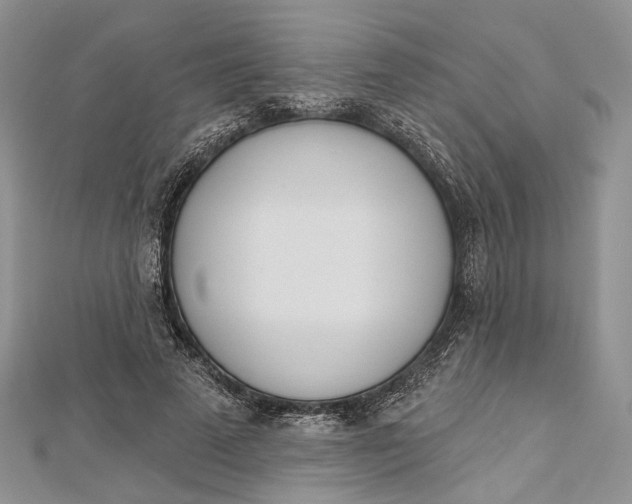 X0000112500689200908311452