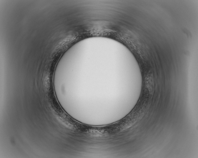 X0000112500690200908311452