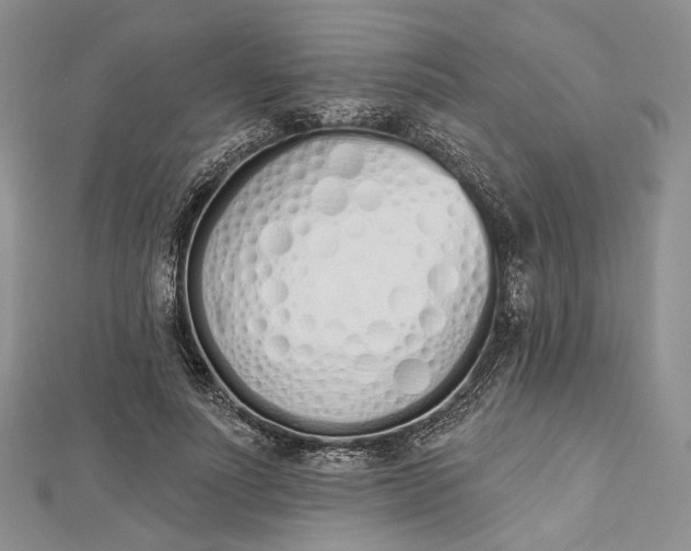 X0000112500691200908311452