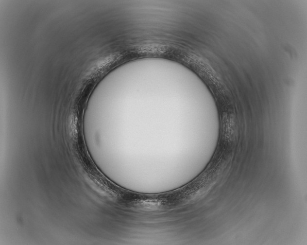 X0000112500692200908311452