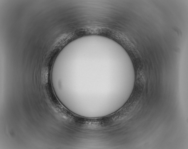 X0000112500694200908311452