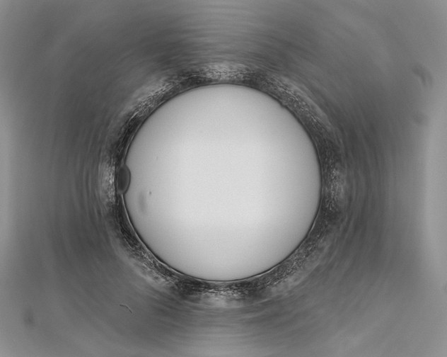 X0000112500696200908311452