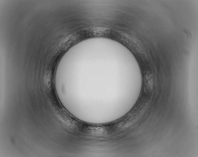 X0000112500698200908311452